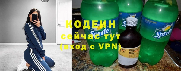 соль ск Абаза