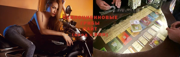 гидропоника Алзамай