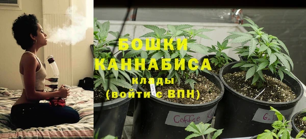соль ск Абаза